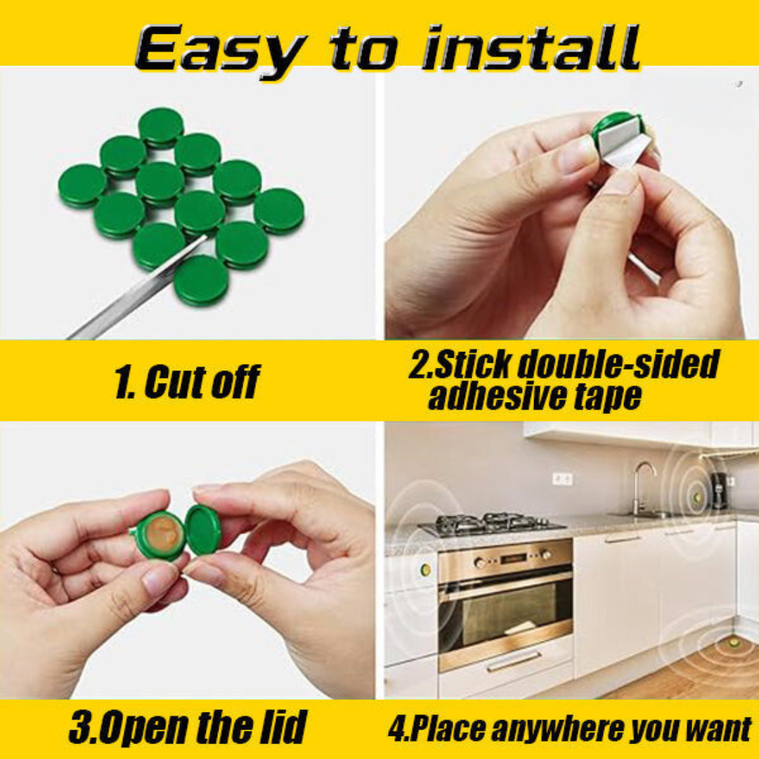 Csapdaállomás a csótányok számára