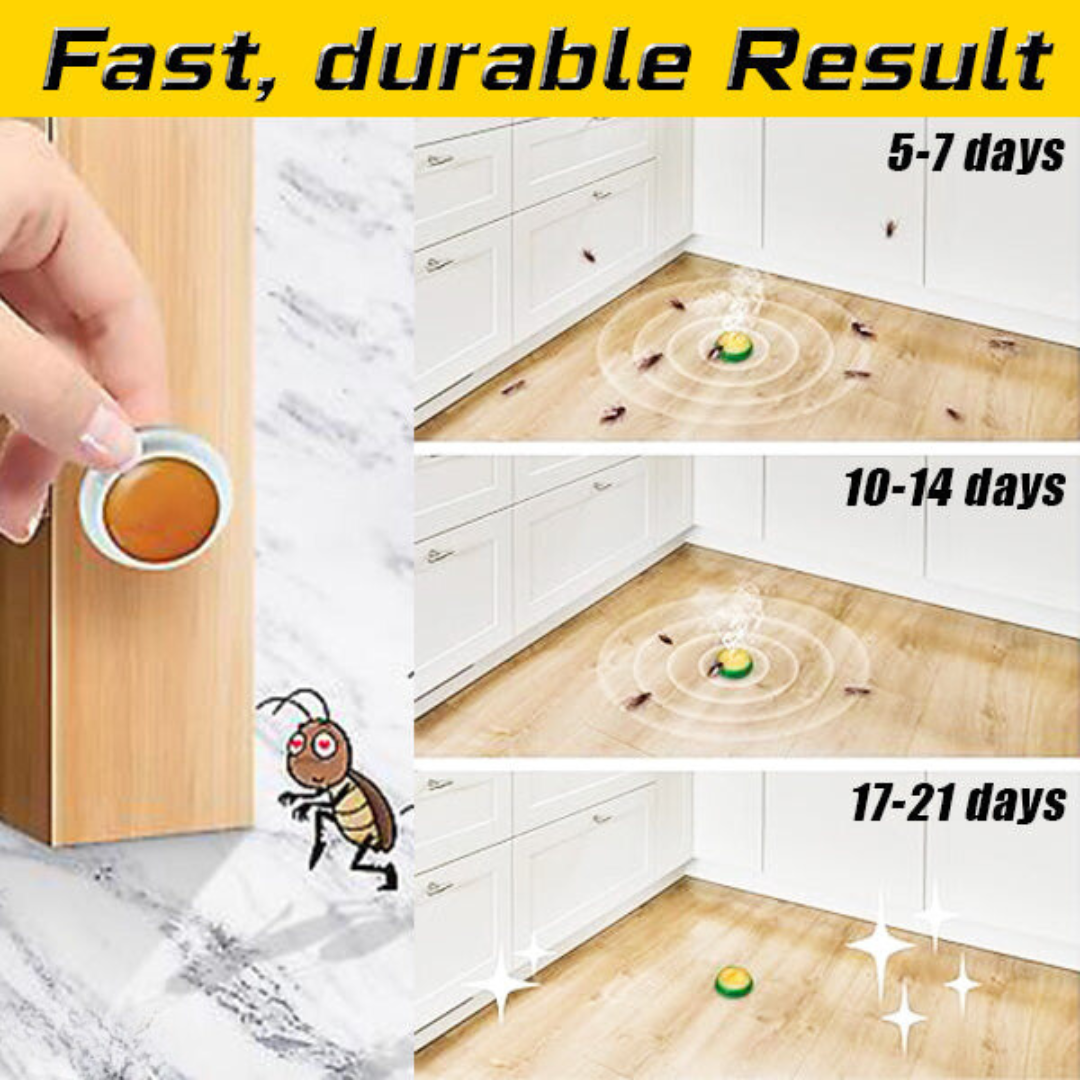 Csapdaállomás a csótányok számára